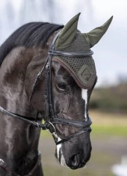 LeMieux Classic Fly Hood - Oak -Equestrian Supply Store lmflyhoodoak2rdy