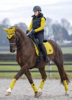 LeMieux Loire Classic Dressage Square - Dijon -Equestrian Supply Store lmloiredressagedijon2rdy