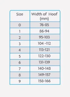 Woof Wear Medical Hoof Boot - Blue -Equestrian Supply Store medicalhoofchartrdy