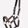 Schockemohle Memphis Style Headcollar - Blue Nights/Amber Stripe -Equestrian Supply Store memphisbluenight 1