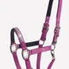 Schockemohle Nice Headcollar - Poison Berry -Equestrian Supply Store nicehalterberryrdy