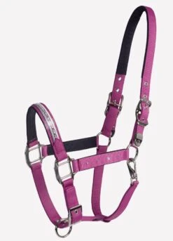 Schockemohle Nice Headcollar - Poison Berry