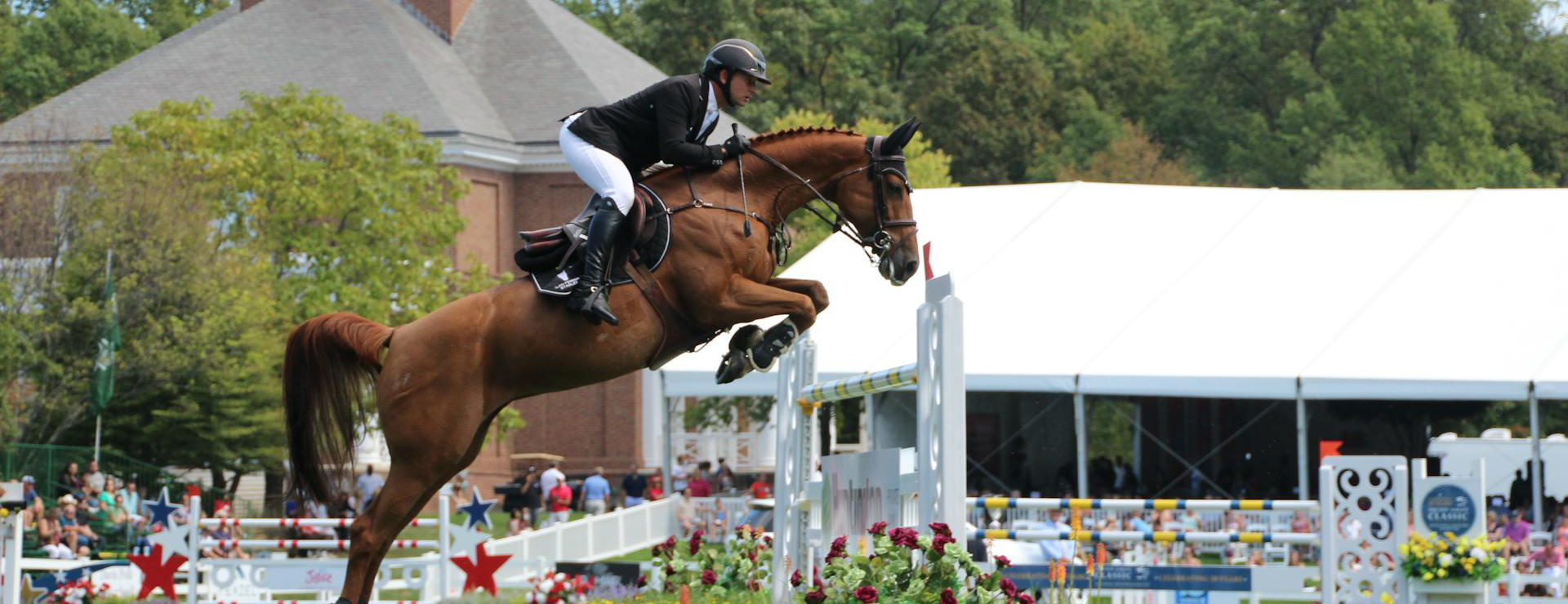 Equestrian Supply Store -Equestrian Supply Store pexels grace earley 3295025 5663052