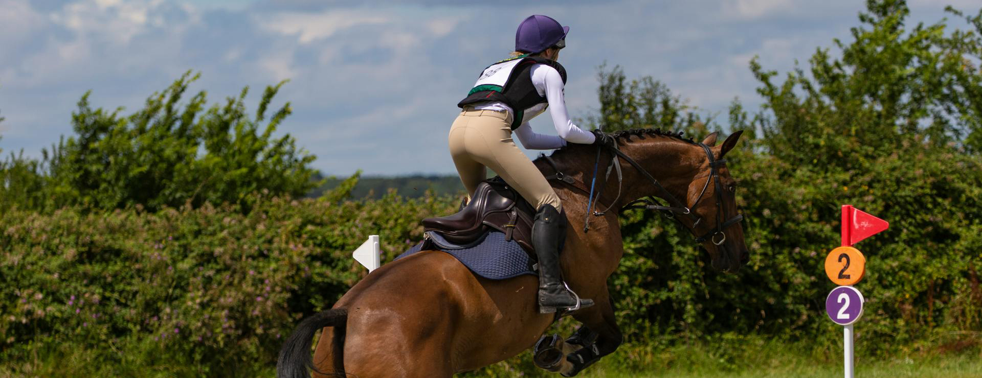 Equestrian Supply Store -Equestrian Supply Store pexels theotherkev 5655500