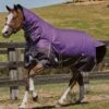 Weatherbeeta Comfitec Plus Dynamic Combo Med/Lite Turnout - Purple/Black -Equestrian Supply Store plusdynamiccomboliterdy