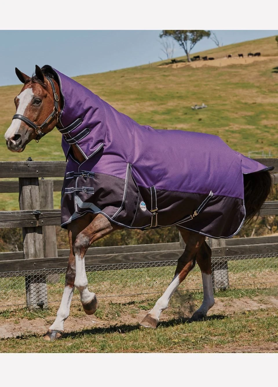 Weatherbeeta Comfitec Plus Dynamic Combo Lite Turnout - Purp/Blk 3 Weatherbeeta Comfitec Plus Dynamic Combo Lite Turnout - Purp/Blk