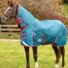 Weatherbeeta ComFiTec Plus Dynamic Combo Medium/Lite Turnout - Teal/Cer/Yell -Equestrian Supply Store plusdynamiccombomedlite