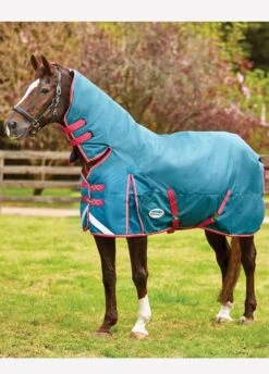 Weatherbeeta ComFiTec Plus Dynamic Combo Medium/Lite Turnout - Teal/Cer/Yell