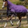 Weatherbeeta ComFiTec Plus Dynamic Combo Medium Turnout - Purple/Black -Equestrian Supply Store plusdynamiccombomedum