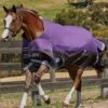 WeatherBeeta ComFiTec Plus Dynamic Standard Neck Lite Rug - Purple/Black -Equestrian Supply Store plusdynamicstdlite2rdy