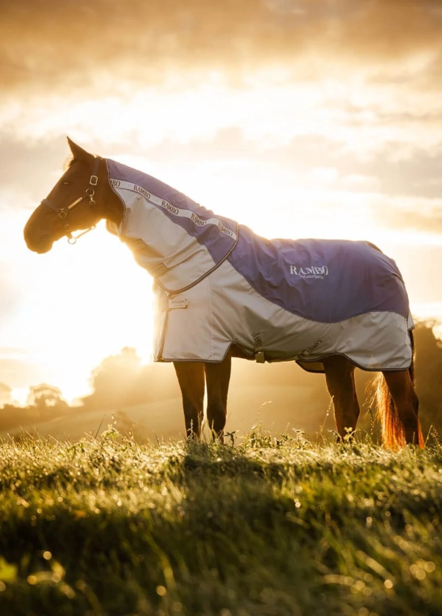 Rambo Autumn Series - Navy/Grey 3 Rambo Autumn Series - Navy/Grey