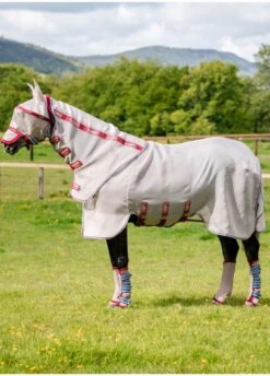 Rambo Protector Disc Front - Oatmeal/Cherry -Equestrian Supply Store rambo protector oatmeal cherry 6rdy