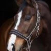 Rambo Padded Headcollar - Witney/Brown 1 Rambo Padded Headcollar - Witney/Brown -Equestrian Supply Store rambohcbrn1rdy