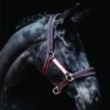 Rambo Padded Headcollar - Witney Cherry -Equestrian Supply Store rambopaddedheadcollar witneycherry