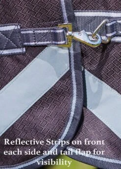 Weatherbeeta ComFiTec Plus Dynamic Combo Medium/Lite Turnout - Teal/Cer/Yell 14 Weatherbeeta ComFiTec Plus Dynamic Combo Medium/Lite Turnout - Teal/Cer/Yell -Equestrian Supply Store reflectivestrips 5