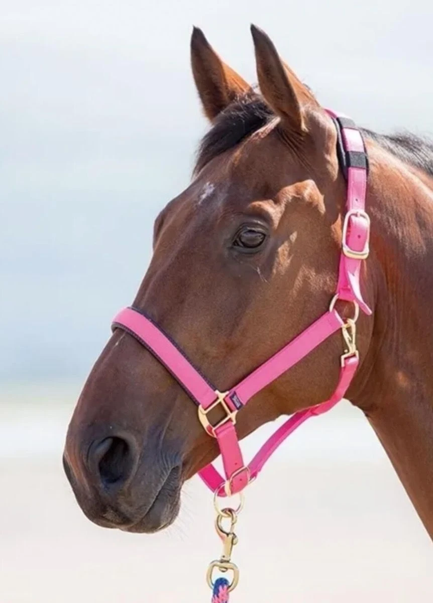Shires Topaz Nylon Headcollar - Pink 3 Shires Topaz Nylon Headcollar - Pink