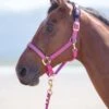 Shires Topaz Padded Headcollar - Raspberry -Equestrian Supply Store shirestopazheadcollarraspberryrdy
