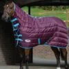 Weatherbeeta 210D Channel Quilt Combo Medium - Grape/Blue 2 Weatherbeeta 210D Channel Quilt Combo Medium - Grape/Blue -Equestrian Supply Store wb channel quilt grape 1rdy