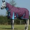 Weatherbeeta Essential Combo Neck Medium - Grape/Blue 1 Weatherbeeta Essential Combo Neck Medium - Grape/Blue -Equestrian Supply Store wb combo grape 1rdy