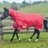 Weatherbeeta ComFITec Classic Combo Neck Medium/Lite - Red/Silver 2 Weatherbeeta ComFITec Classic Combo Neck Medium/Lite - Red/Silver -Equestrian Supply Store wb combo red 1rdy