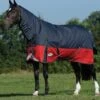 Weatherbeeta Plus Dynamic II Combo Neck Medium/Lite - Black/Red/Silver 1 Weatherbeeta Plus Dynamic II Combo Neck Medium/Lite - Black/Red/Silver -Equestrian Supply Store wb dynamic combo black red 1rdy 1