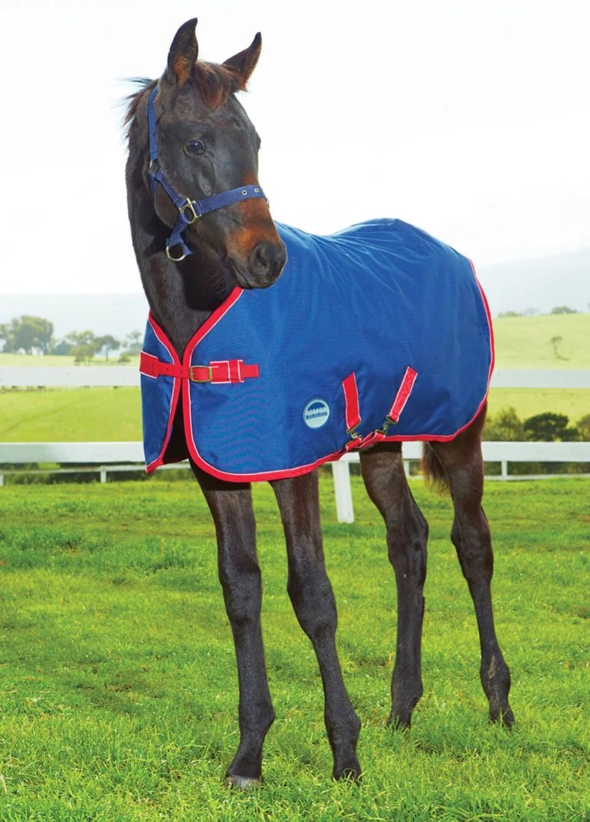 Weatherbeeta Original 1200D Foal Rug - Navy/Red/White 3 Weatherbeeta Original 1200D Foal Rug - Navy/Red/White