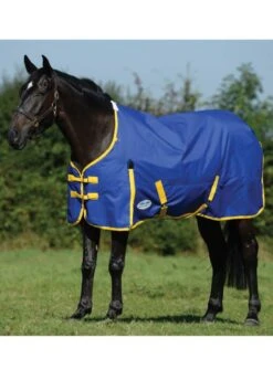 Weatherbeeta Classic Standard Neck Medium - Blue/Lemon