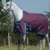 Weatherbeeta Essential Standard Neck Medium - Grape/Blue -Equestrian Supply Store wb standard medium grape 1rdy