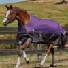 Weatherbeeta Comfitec Plus Dynamic Standard Neck Medium/Lite Turnout - Purple/Black 2 Weatherbeeta Comfitec Plus Dynamic Standard Neck Medium/Lite Turnout - Purple/Black -Equestrian Supply Store wb2