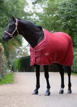 Equestrian Supply Store -Equestrian Supply Store wbbirthdayfleececooler 1