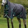 Weatherbeeta ComFITec Plus Dynamic II Combo Medium/Lite - Black/Aqua 2 Weatherbeeta ComFITec Plus Dynamic II Combo Medium/Lite - Black/Aqua -Equestrian Supply Store wbdynamiciicomboblackaquardy 1