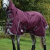 Weatherbeeta ComFITec Plus Dynamic II Combo Neck Medium/Lite - Maroon/Grey/White 2 Weatherbeeta ComFITec Plus Dynamic II Combo Neck Medium/Lite - Maroon/Grey/White -Equestrian Supply Store wbdynamiciicombomaroonrdy 1