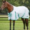 Weatherbeeta Green-Tec 900D Standard Neck Lite Plus - Light Grey/Bottle Green 1 Weatherbeeta Green-Tec 900D Standard Neck Lite Plus - Light Grey/Bottle Green -Equestrian Supply Store wbgreenstandardlitepluslgreybgreen2rdy