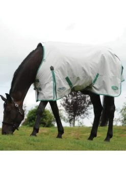 Weatherbeeta Green-Tec 900D Standard Neck Lite Plus - Light Grey/Bottle Green -Equestrian Supply Store wbgreenstandardlitepluslgreybgreenrdy