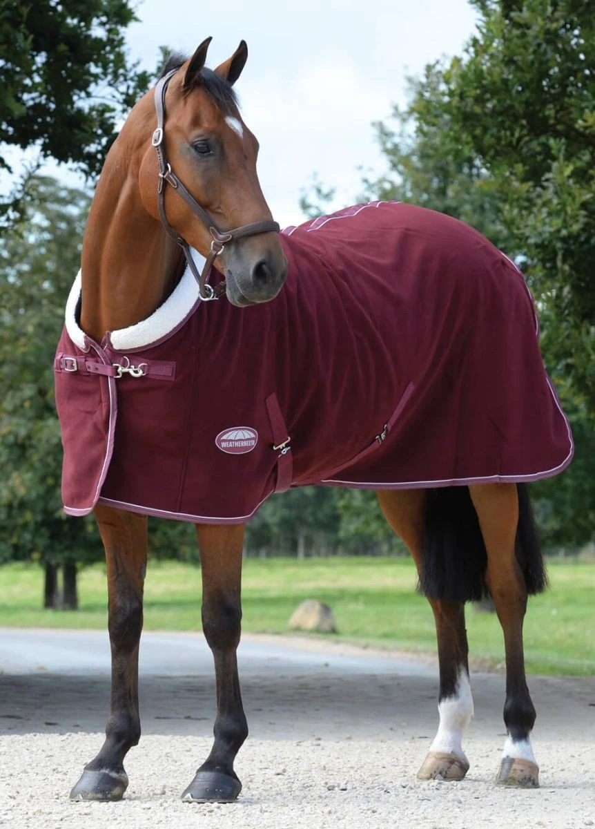 Weatherbeeta Sherpa Fleece Cooler - Maroon/White 4 Weatherbeeta Sherpa Fleece Cooler - Maroon/White - Image 2