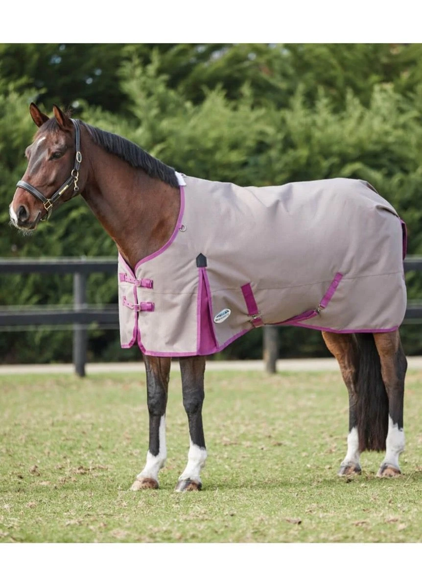 Weatherbeeta ComFITec Essential Standard Neck Lite - Dark Grey/Orchid 3 Weatherbeeta ComFITec Essential Standard Neck Lite - Dark Grey/Orchid