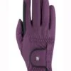 Roeckl Malta Two Tone Winter Chester Gloves - Grape Wine 1 Roeckl Malta Two Tone Winter Chester Gloves - Grape Wine -Equestrian Supply Store wintermaltardy